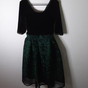Black Velvet and green lace dress